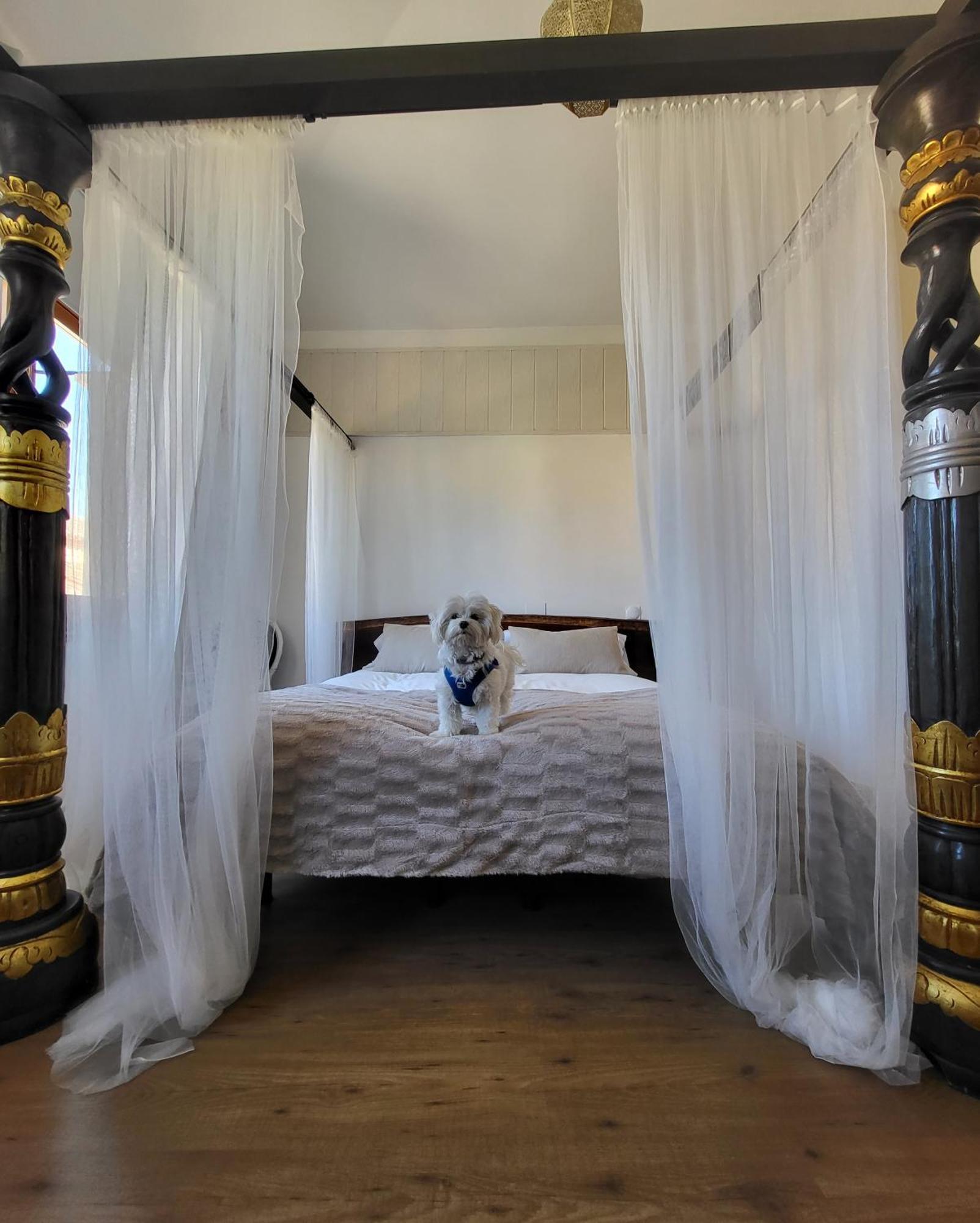 Hotel Rural Luna Llena Torremocha de Jarama Værelse billede