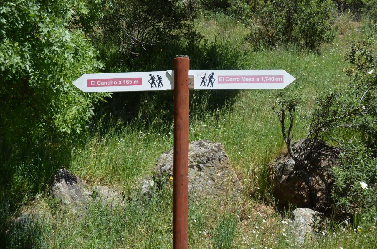 Hotel Rural Luna Llena Torremocha de Jarama Eksteriør billede